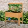 Outsunny 41'' Raised Garden Bed Mobile Elevated Wooden Planter Box Stand With Wheels, Trellis And Storage Shelf, Brown 1 Outsunny 41'' Raised Garden Bed Mobile Elevated Wooden Planter Box Stand With Wheels, Trellis And Storage Shelf, Brown -Outsunny GUEST c6020c1e 0c75 4a38 b444 f4fb4be3068d